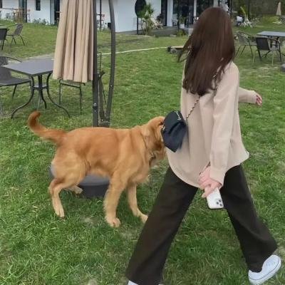 母亲的直觉